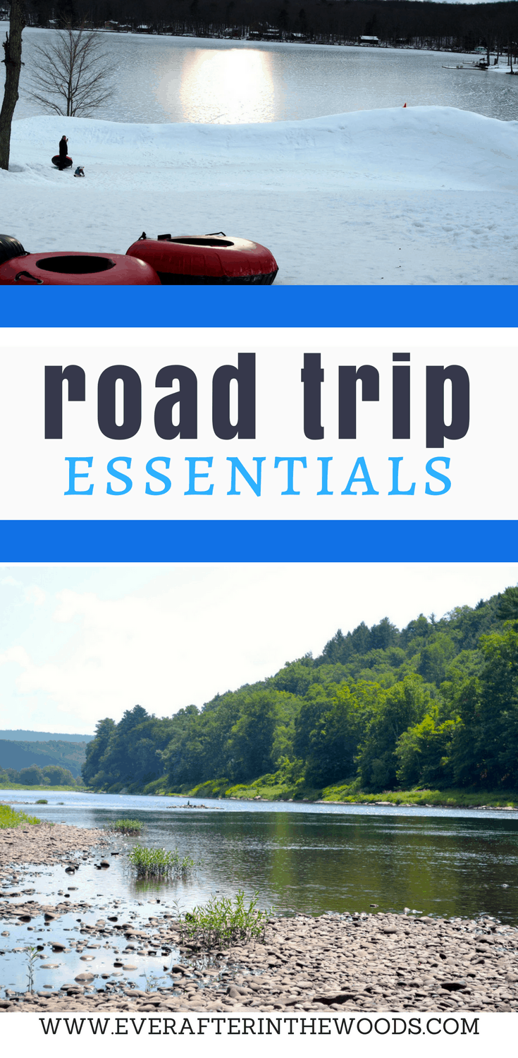 4 things you need for a road trip