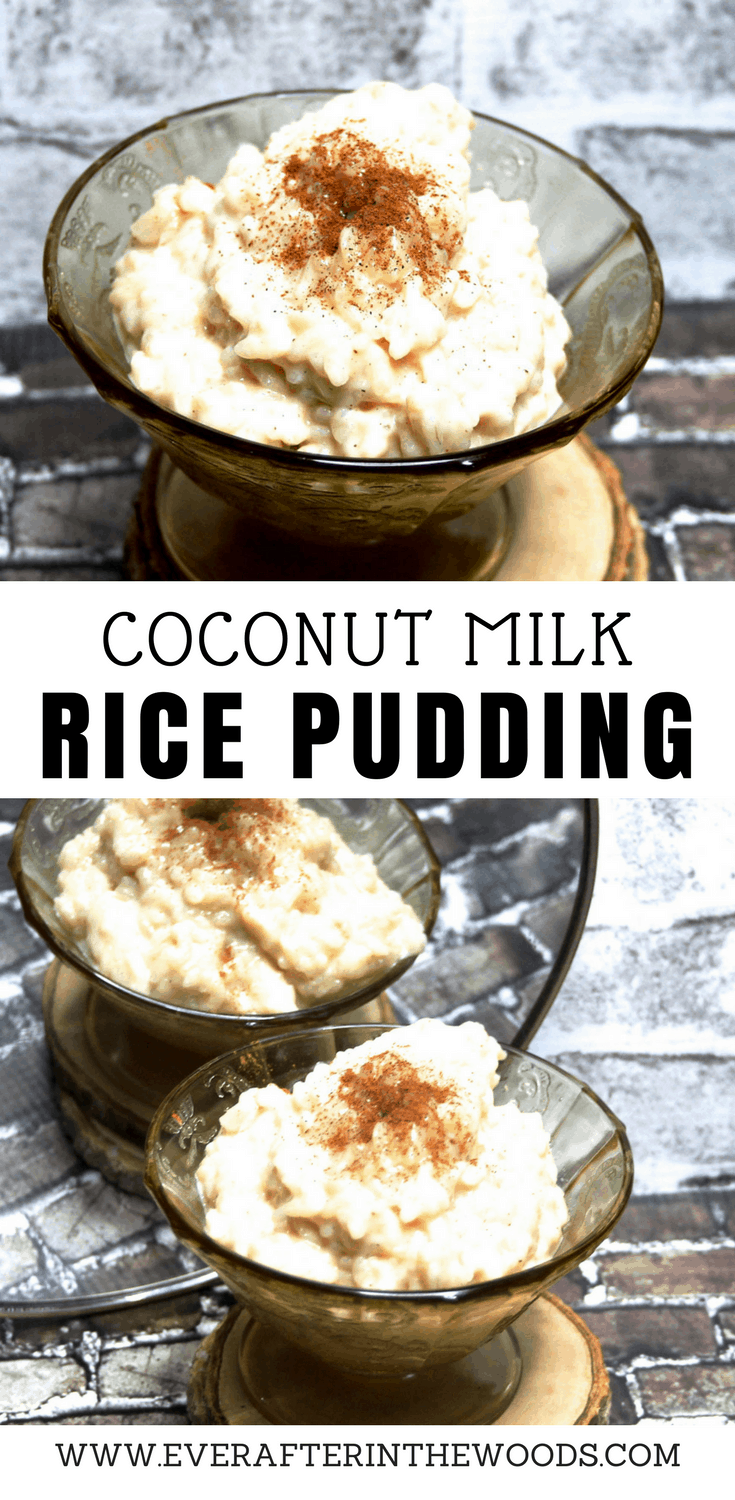 Coconut Milk Rice Pudding - Ever After in the Woods