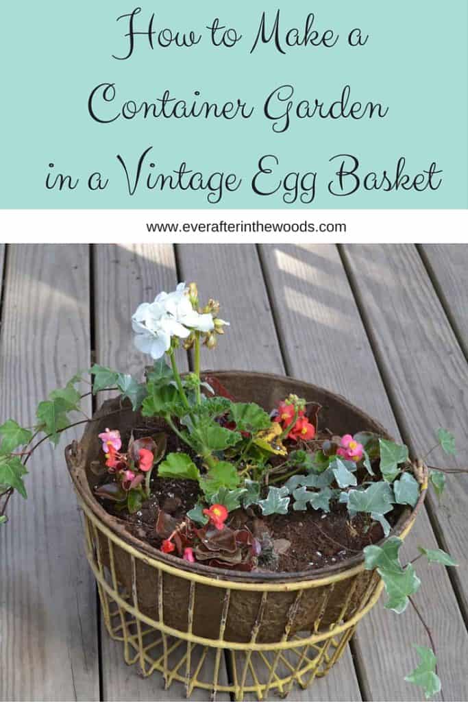 How to Make aContainer Garden in a Vintage Egg Basket