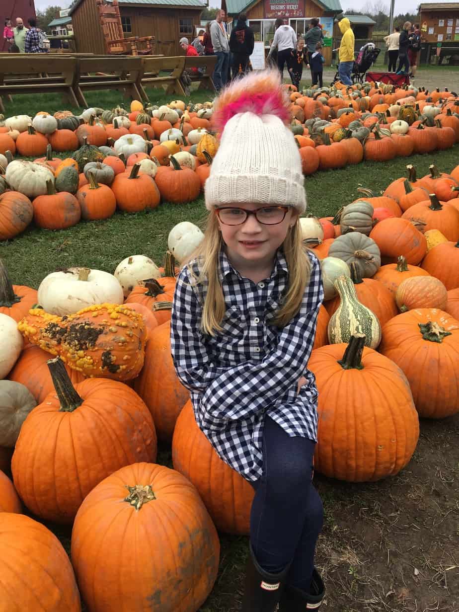 pumpkin picking in pa pennsylvania