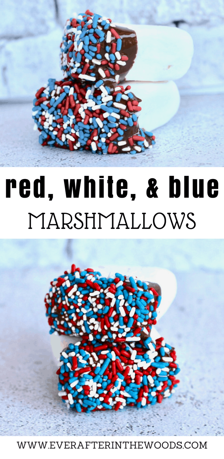 easy patriotic dessert for fourth of july labor day