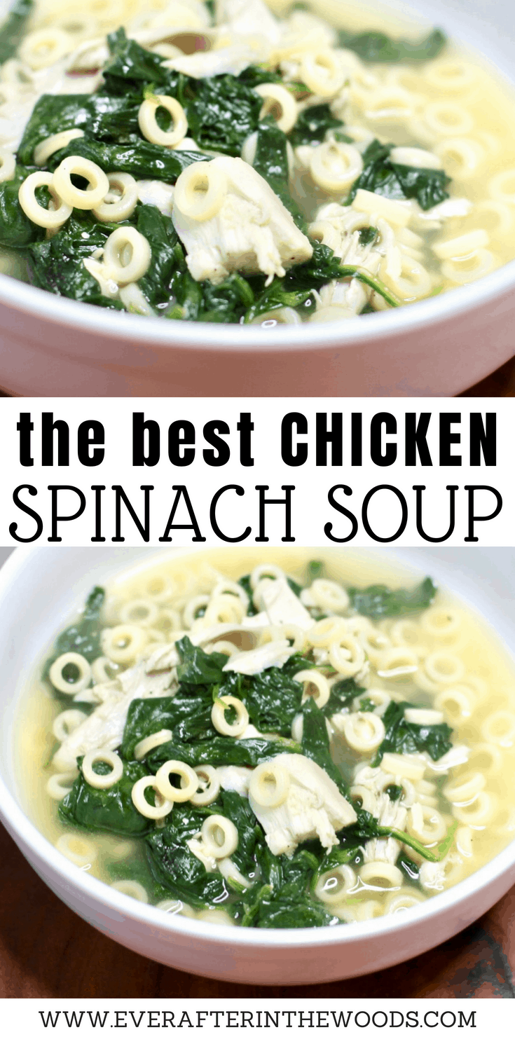 the best chicken spinach soup
