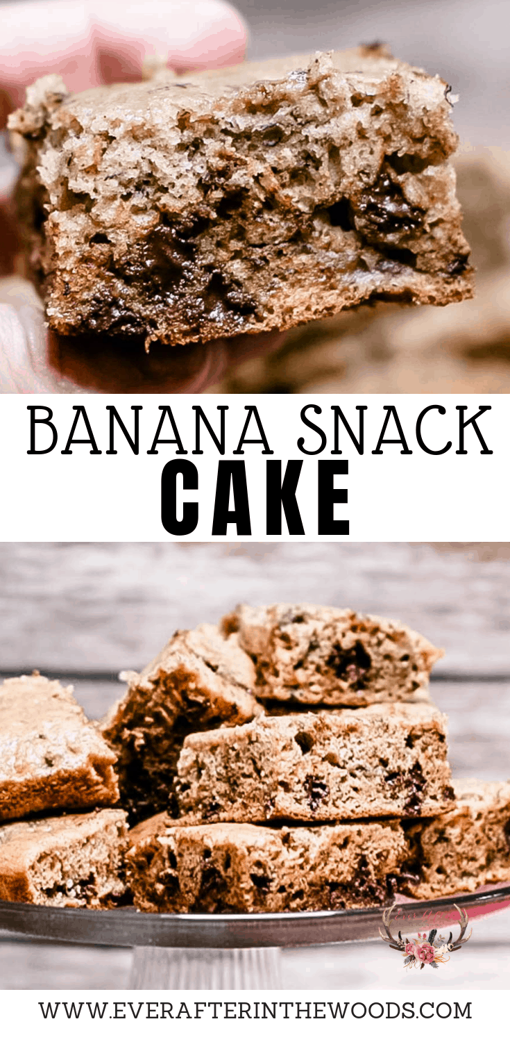 easy to make banana snack cake with no added sugar