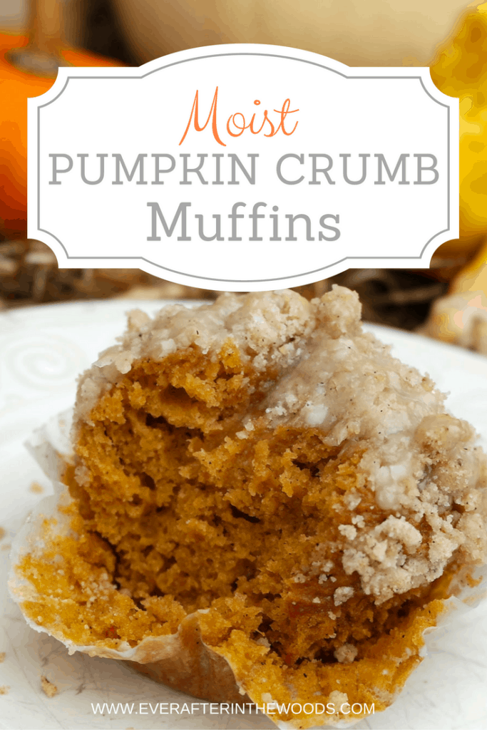 moist-pumpkin-crumb-muffin