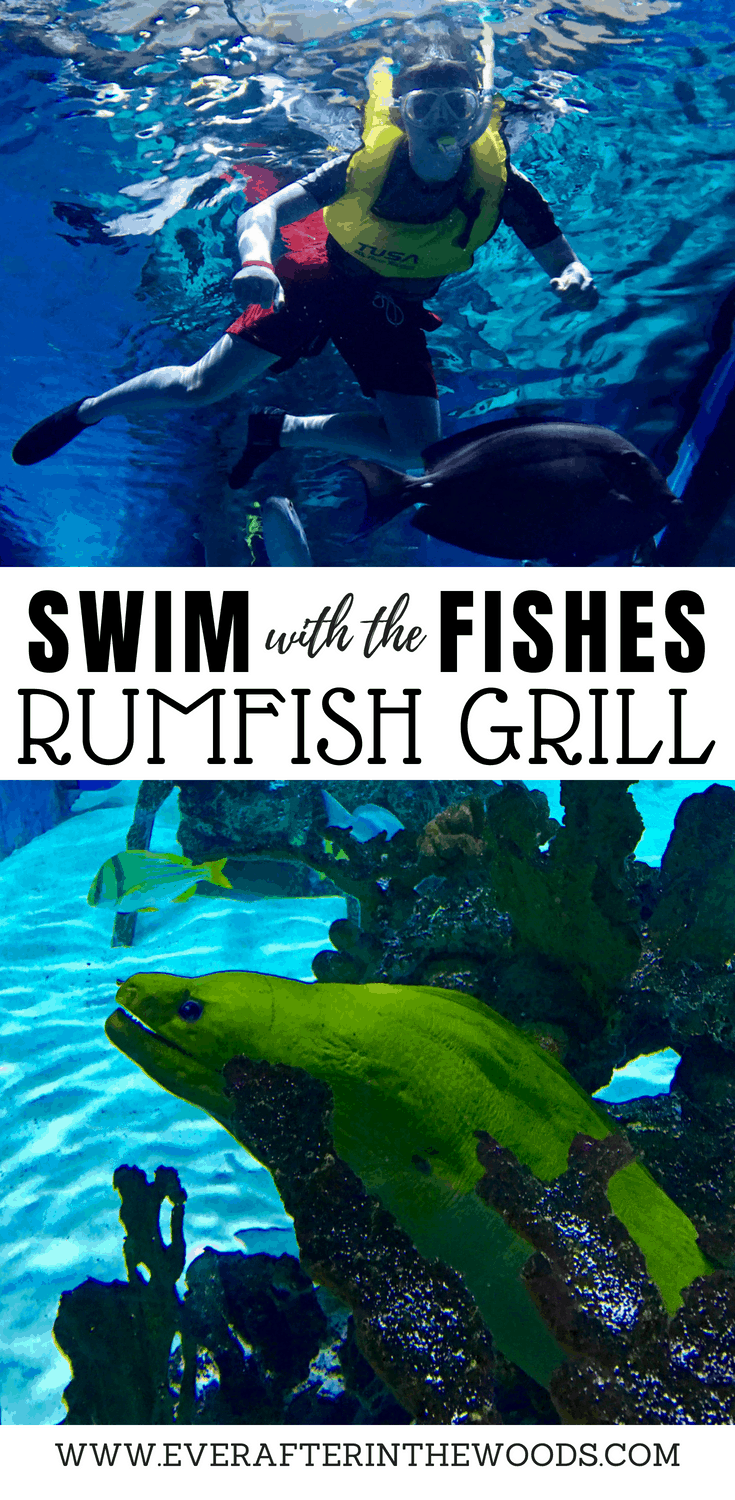 rumfish grill guy harvey outpost