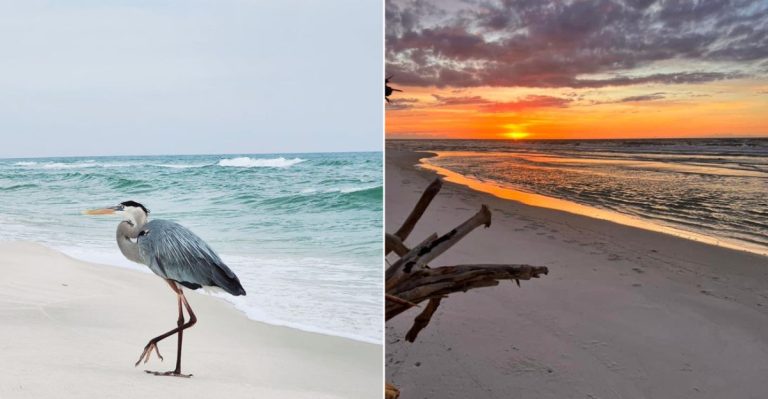 10 Alabama Gulf Coast Beaches You’ll Want To Visit All Summer Long