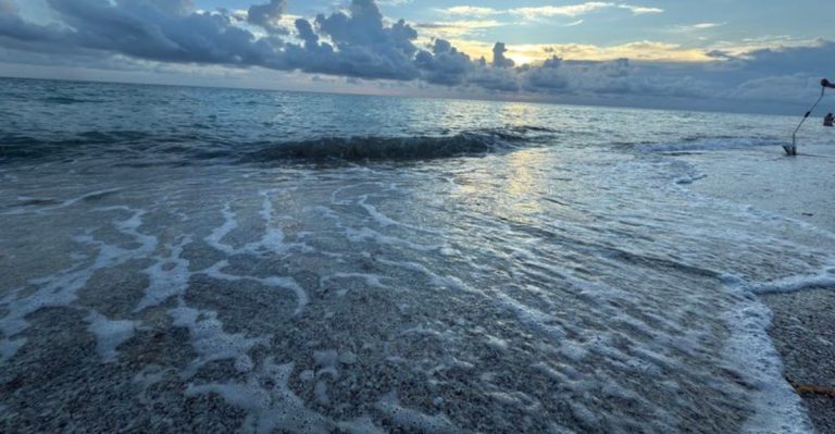 10 Beaches In Southwest Florida Where Seashell Hunters Strike Gold