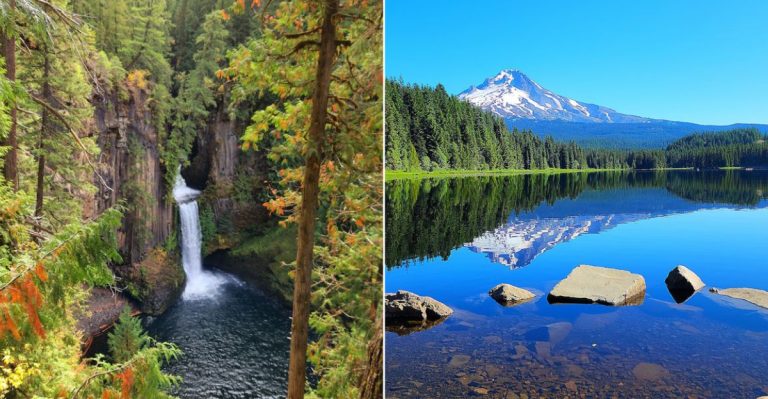 10 Beautiful Forest Destinations In Oregon For Nature Lovers