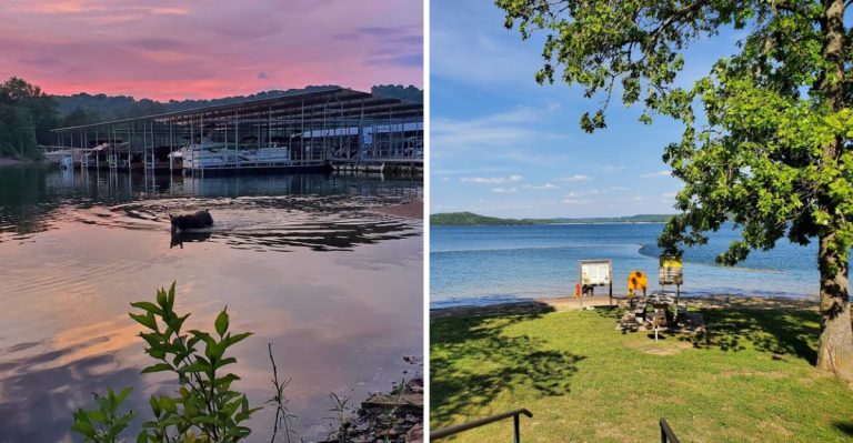 10 Beaver Lake Piers, Parks, And Waterfront Spots Worth Experiencing This Year