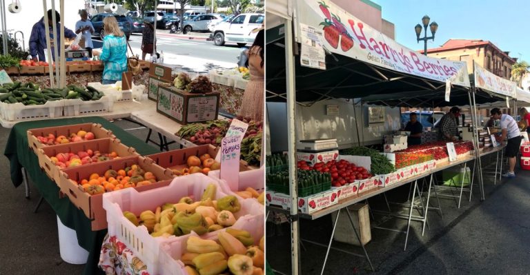 10 Best Farmers Markets In California To Visit This July