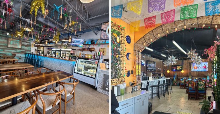 10 Best Florida Street Food Spots You Need To Try In 2026