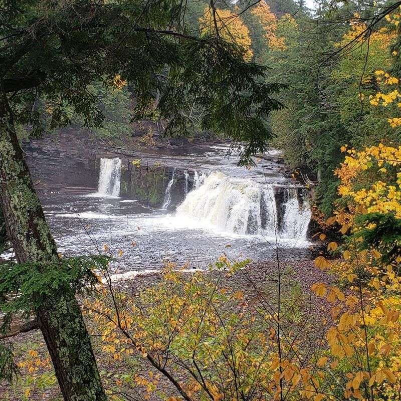 Porcupine Mountains Wilderness State Park Lantern Lit Trail, Ontonagon