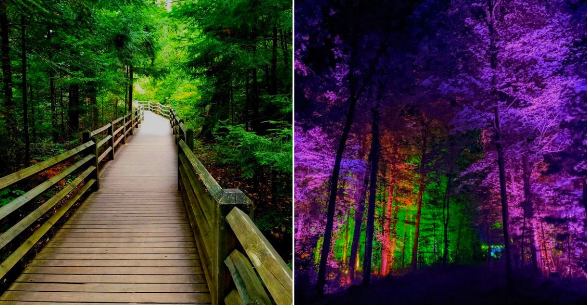 Michigan's most beautifully illuminated winter trails
