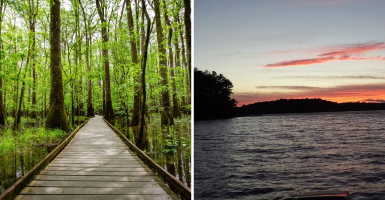 10 Breathtaking Scenic Spots In South Carolina That Never Stop Being Beautiful