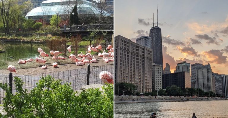 10 Chicago, Illinois Neighborhoods That Are Most Beautiful In Spring