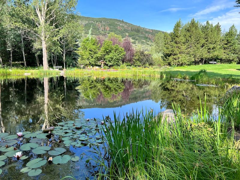 Wander the Spring Blooms at Yampa River Botanic Park, Steamboat Springs