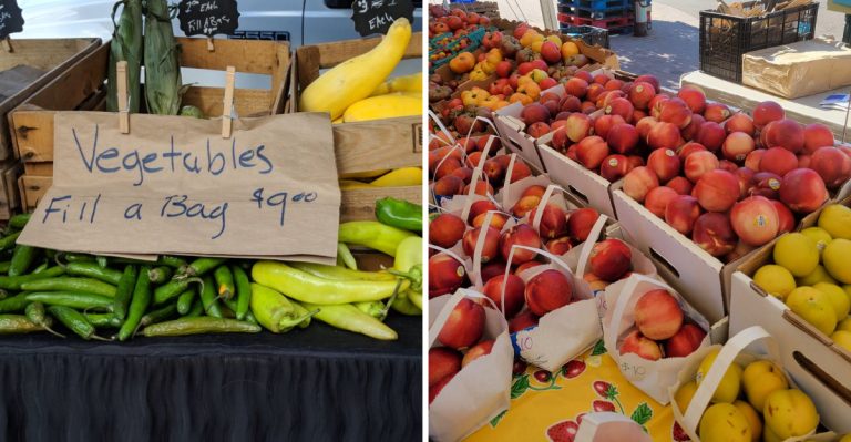 10 Colorado Farmers Markets Locals Love (But Most Visitors Miss)