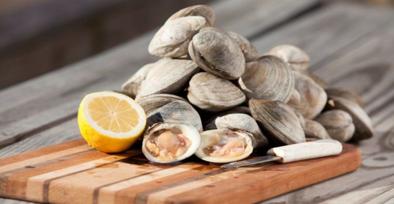 10 Different Types Of Clams And How To Cook Them