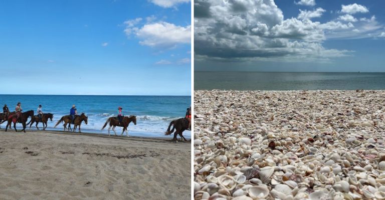 10 Dreamy Places To Ride Horses In Florida (Yes, Including The Beach)