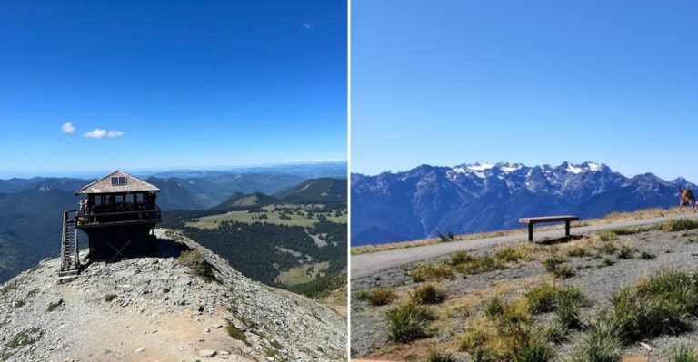 10 Easy Washington Hikes With Truly Stunning Views