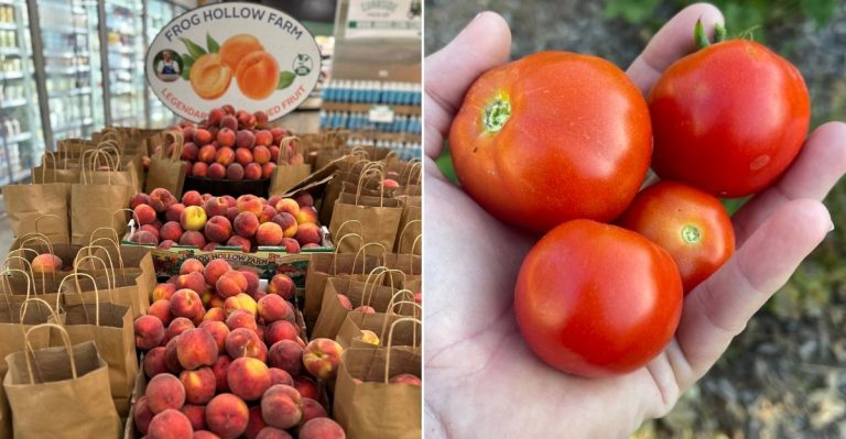10 Farmers’ Market Discoveries In California That Leave Newcomers Stunned
