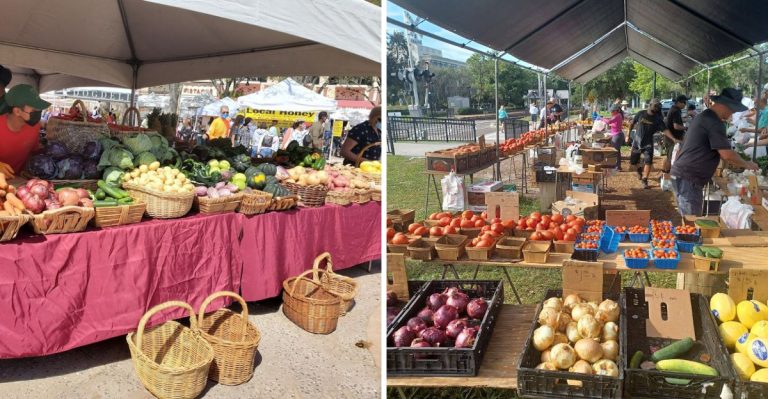 10 Farmers Markets In Florida That Make Summer Weekends Feel Magical