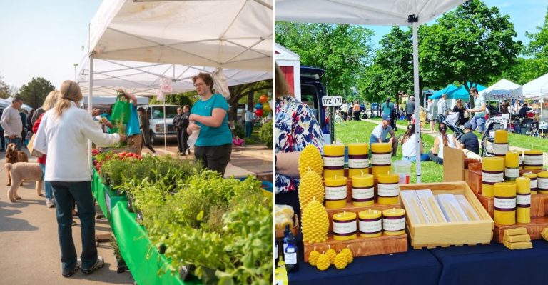 10 Farmers Markets In Illinois That Make Summer Weekends Feel Magical