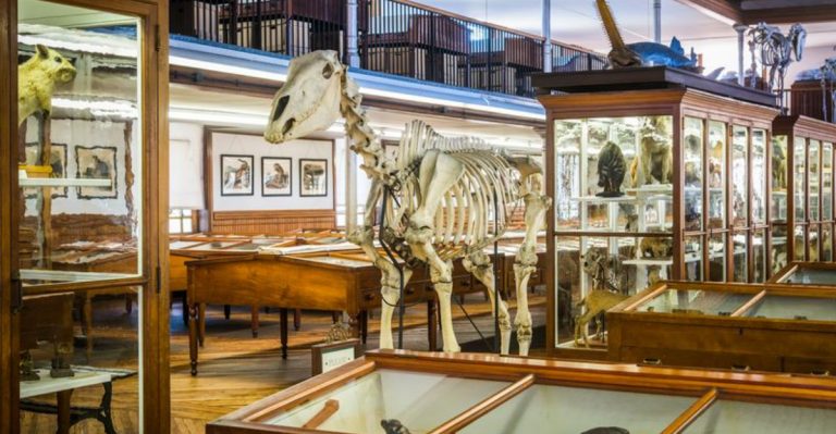 10 Free Pennsylvania Museums Rich With Hidden History