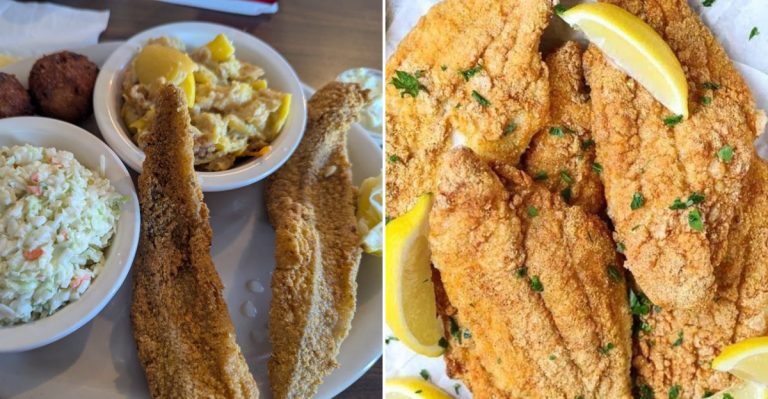 10 Georgia Fried Catfish Spots That Locals Claim Are Worth Every Bite