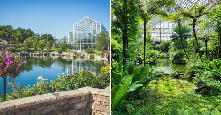 10 Hidden Gardens And Conservatories In Illinois To Visit In 2026
