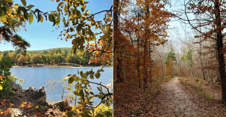 10 Hidden Hiking Trails In Arkansas Locals Don’t Want You To Know About