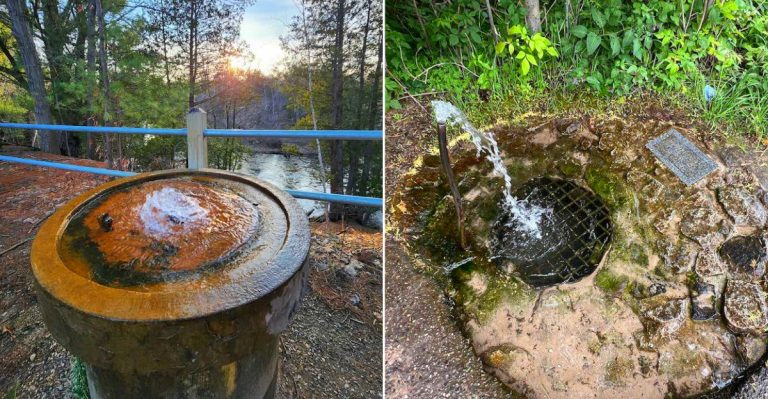 10 Hidden Michigan Springs And Artesian Wells Worth Pulling Over For