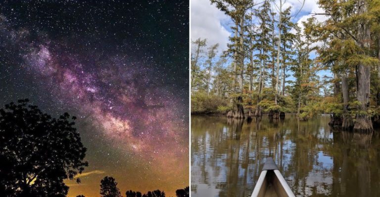 10 Hidden Nature Spots In Illinois Worth Exploring This March