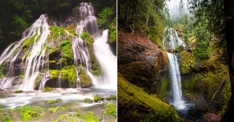 Secret Waterfalls in Washington That Look Straight Out of a Fairytale