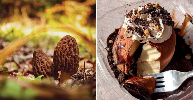 10 Idaho Foods That Look Strange But Taste Surprisingly Amazing