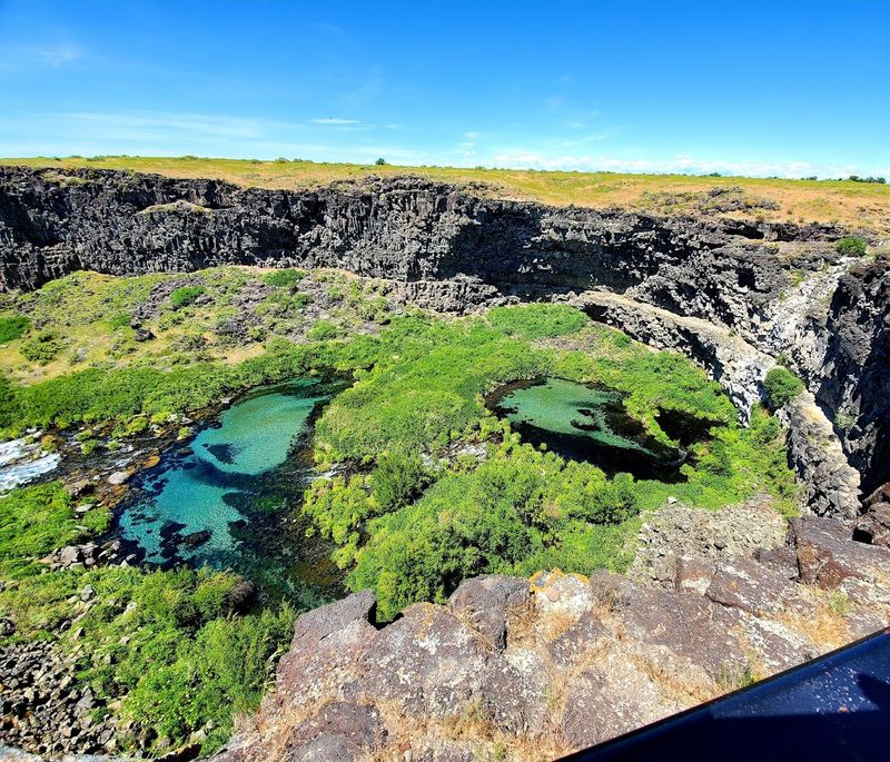 Box Canyon Springs Preserve