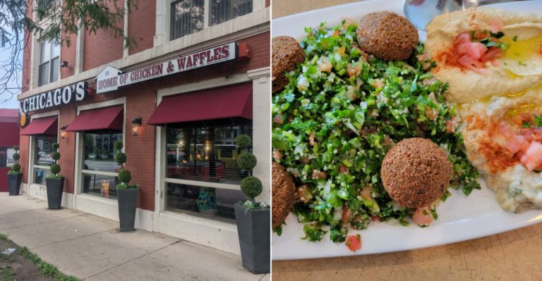 10 Illinois Fried Catfish Spots That Locals Say Are Worth Every Bite