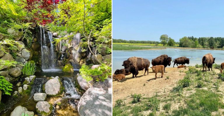 10 Illinois Hidden Spots Most Locals Don’t Even Know About (With Map)