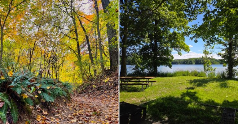 10 Illinois Hiking Trails With Tick Concerns Worth Knowing About