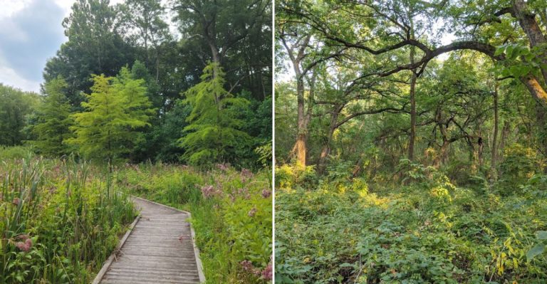 10 Illinois Natural Wonders Most People Don’t Know About