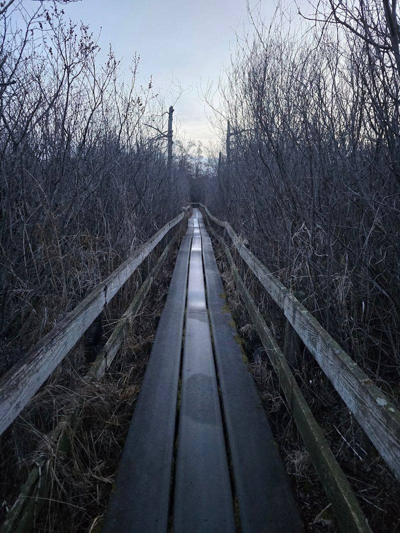 Volo Bog State Natural Area, Ingleside/Volo