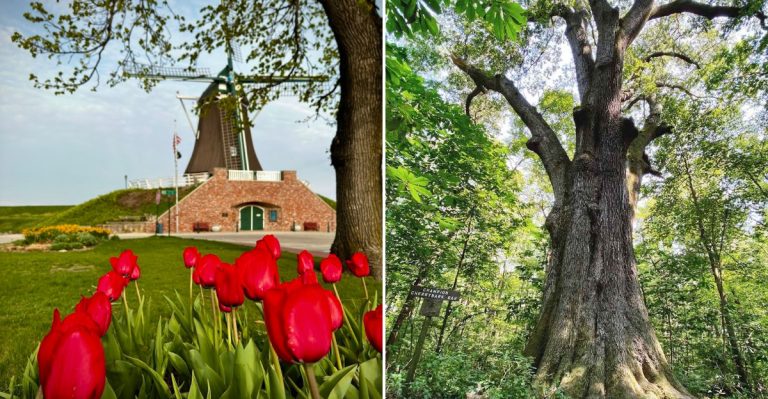 10 Illinois Spots That Feel Like A Mini Vacation Without Leaving The State