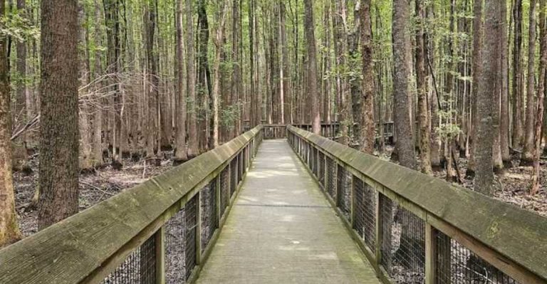10 Incredible Arkansas Spots You Won’t Believe Are Real