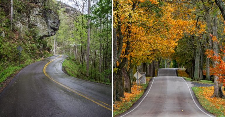 10 Kentucky Horse Country Drives That Are Worth Every Mile