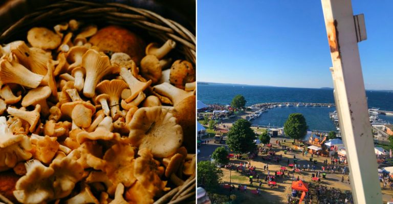Best Michigan Food Festivals