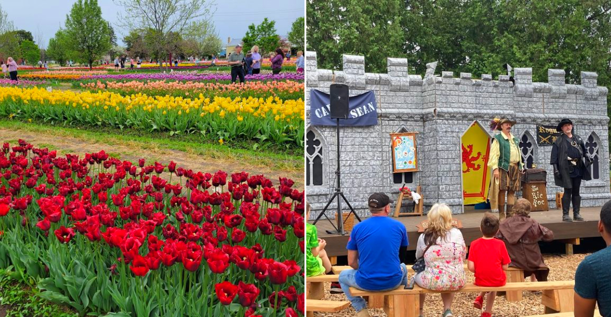 Michigan Spring Festivals