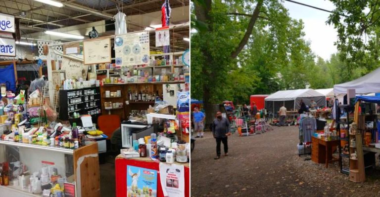 Michigan Weekend Markets