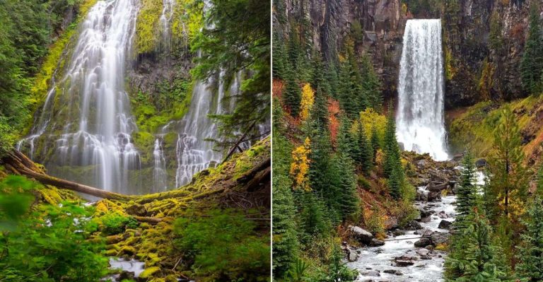 10 Must-See Oregon Waterfalls That Come Alive In Summer