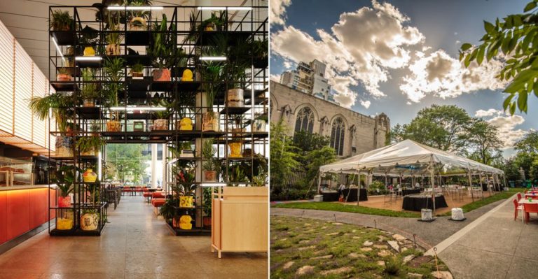 10 New York Museum Cafés Where Lunch Feels Like Part Of The Exhibit