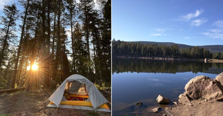 10 No-Reservation Campgrounds In New Mexico Made For Easygoing Mountain Escapes